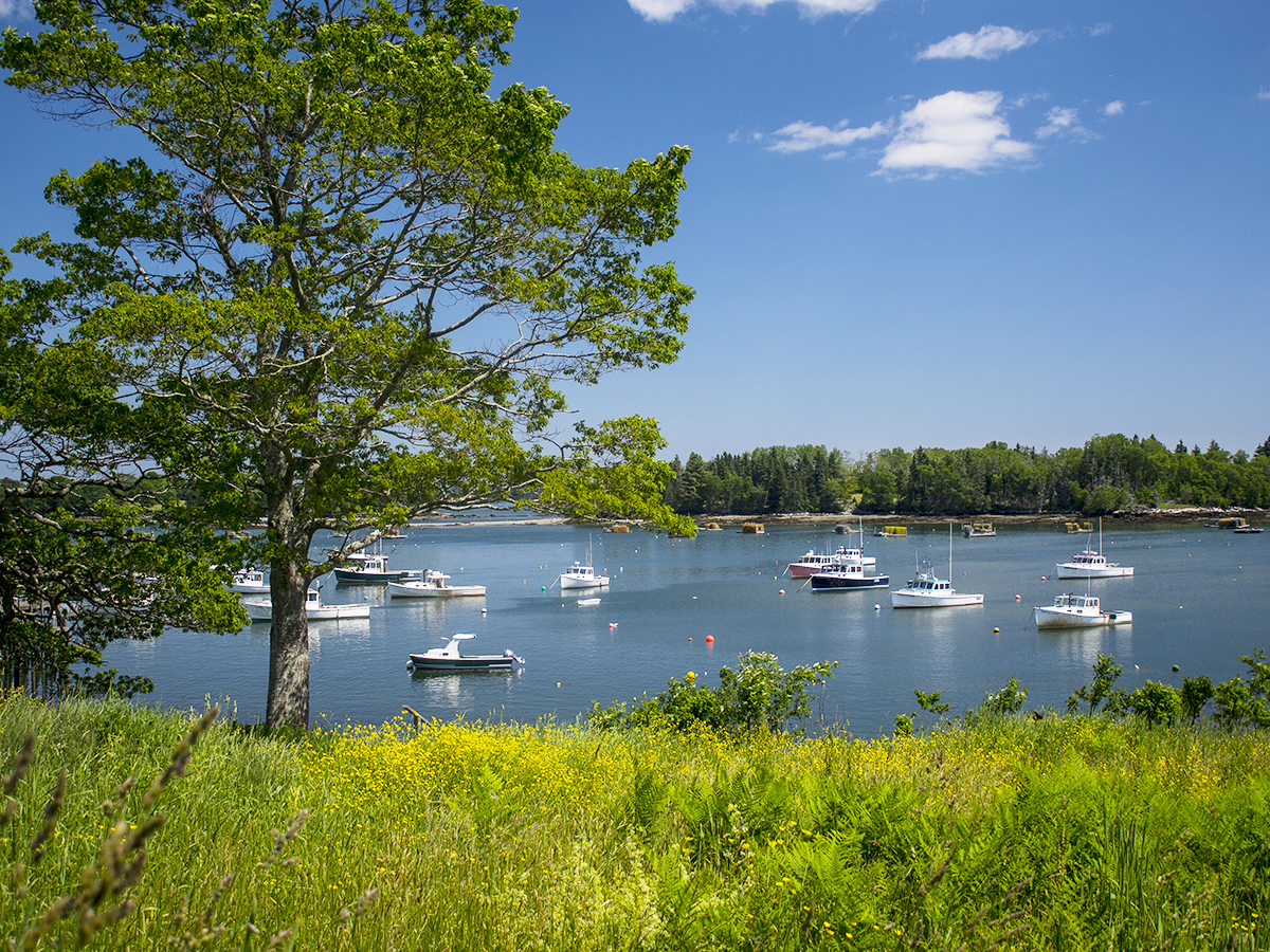 Maine Properties Inc Reviews Maine Properties Inc Reviews
